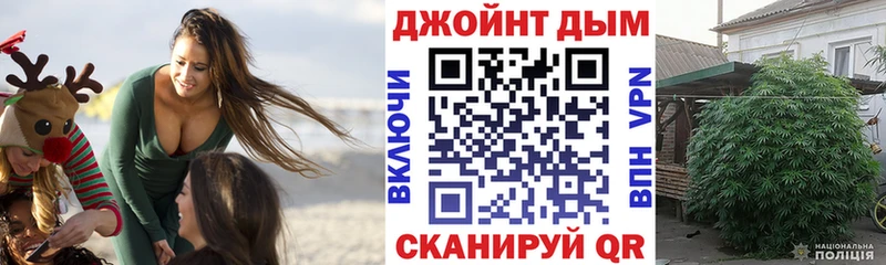 KRAKEN зеркало  Каневская  Бошки Шишки сатива  сайты даркнета состав  магазин продажи  